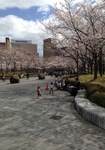 SM_20130321130759.jpeg