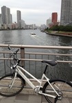 SM_20130601174254.jpeg