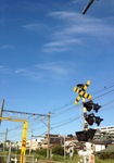 SM_20130918070446.jpeg